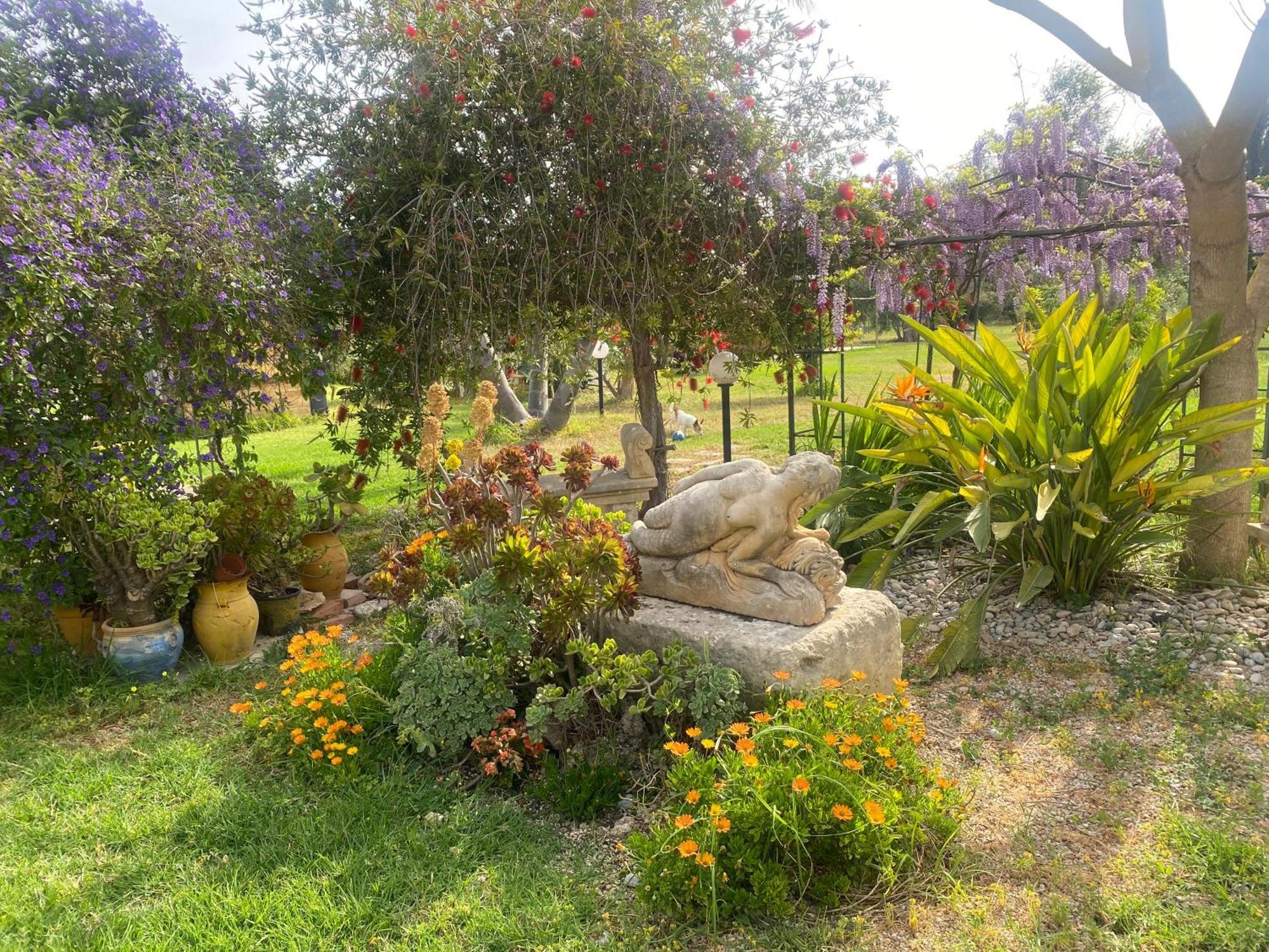 Agrib&B Lemontree Garde'N Syracuse Luaran gambar