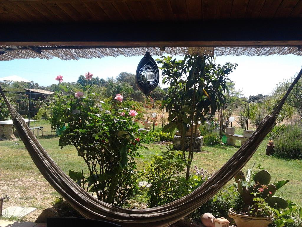 Agrib&B Lemontree Garde'N Syracuse Luaran gambar